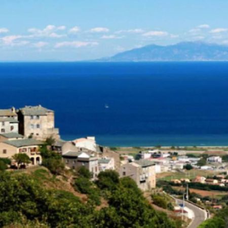 Appartement Neuf Entre Mer Et Montagne. フュリアニ エクステリア 写真